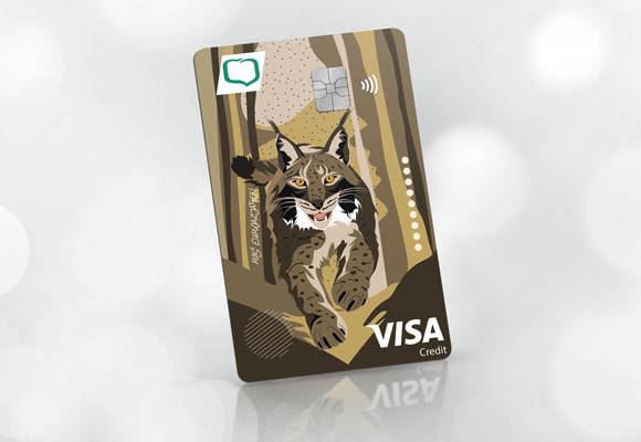 kredytowa_visa_biznes_credit