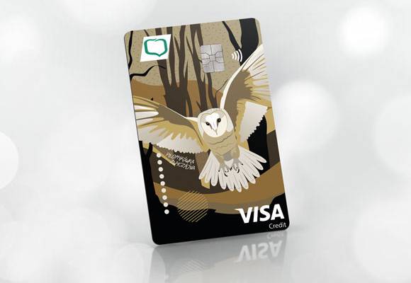 kredytowa_visa_credit_gold